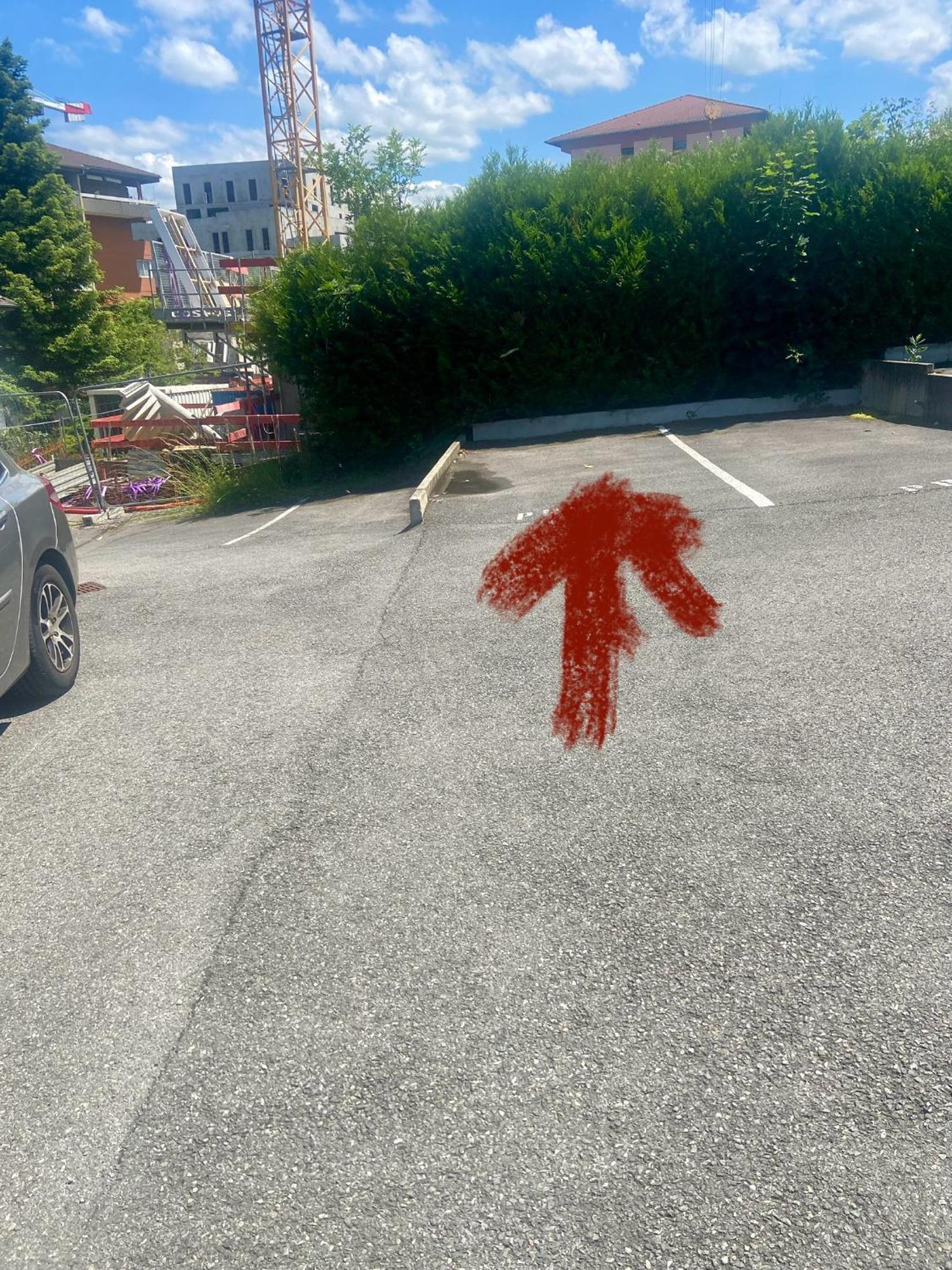 Appartamento Les Lucioles Thonon-les-Bains Esterno foto